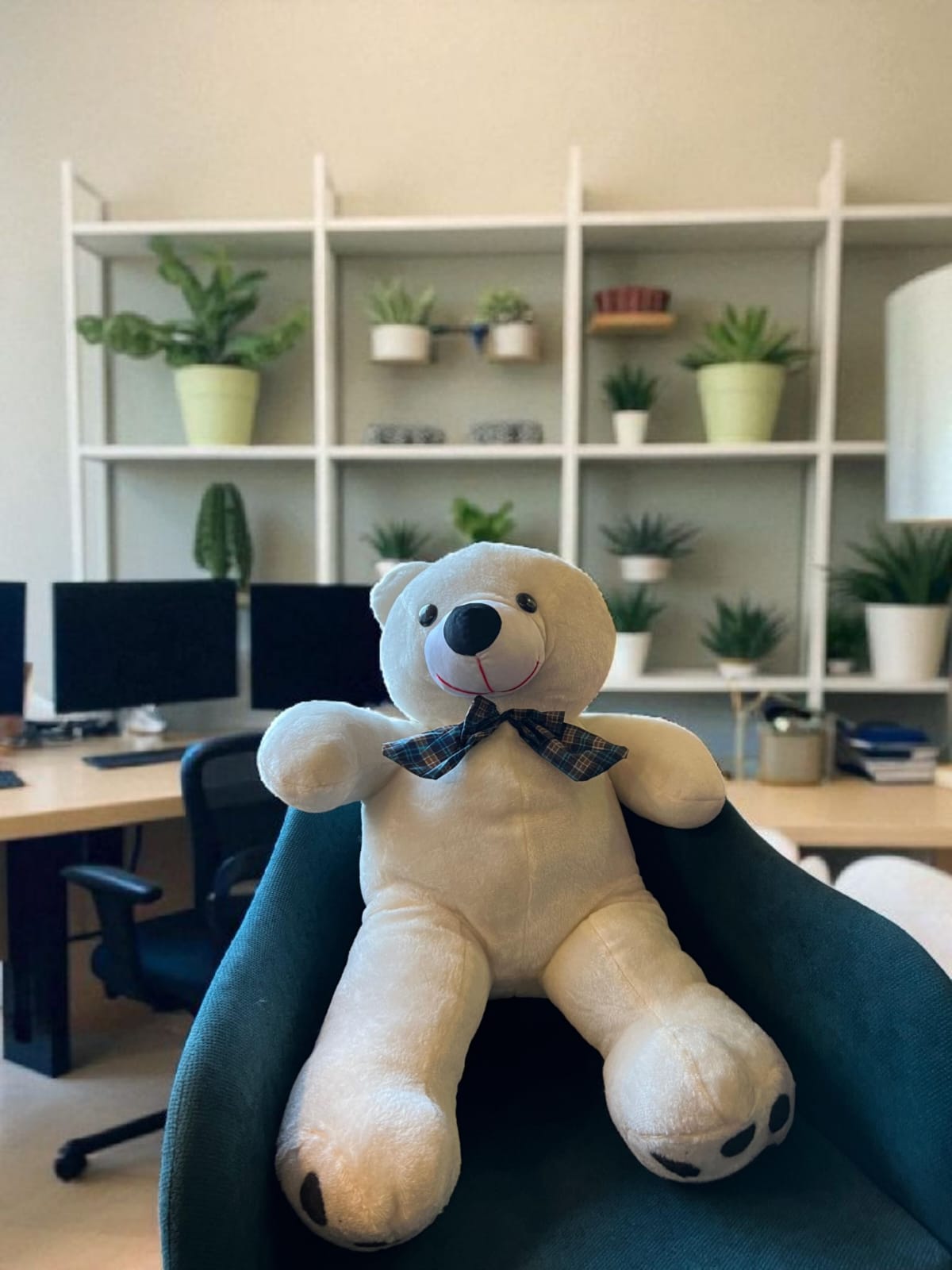 The Vanilla Pal (2.6 ft)