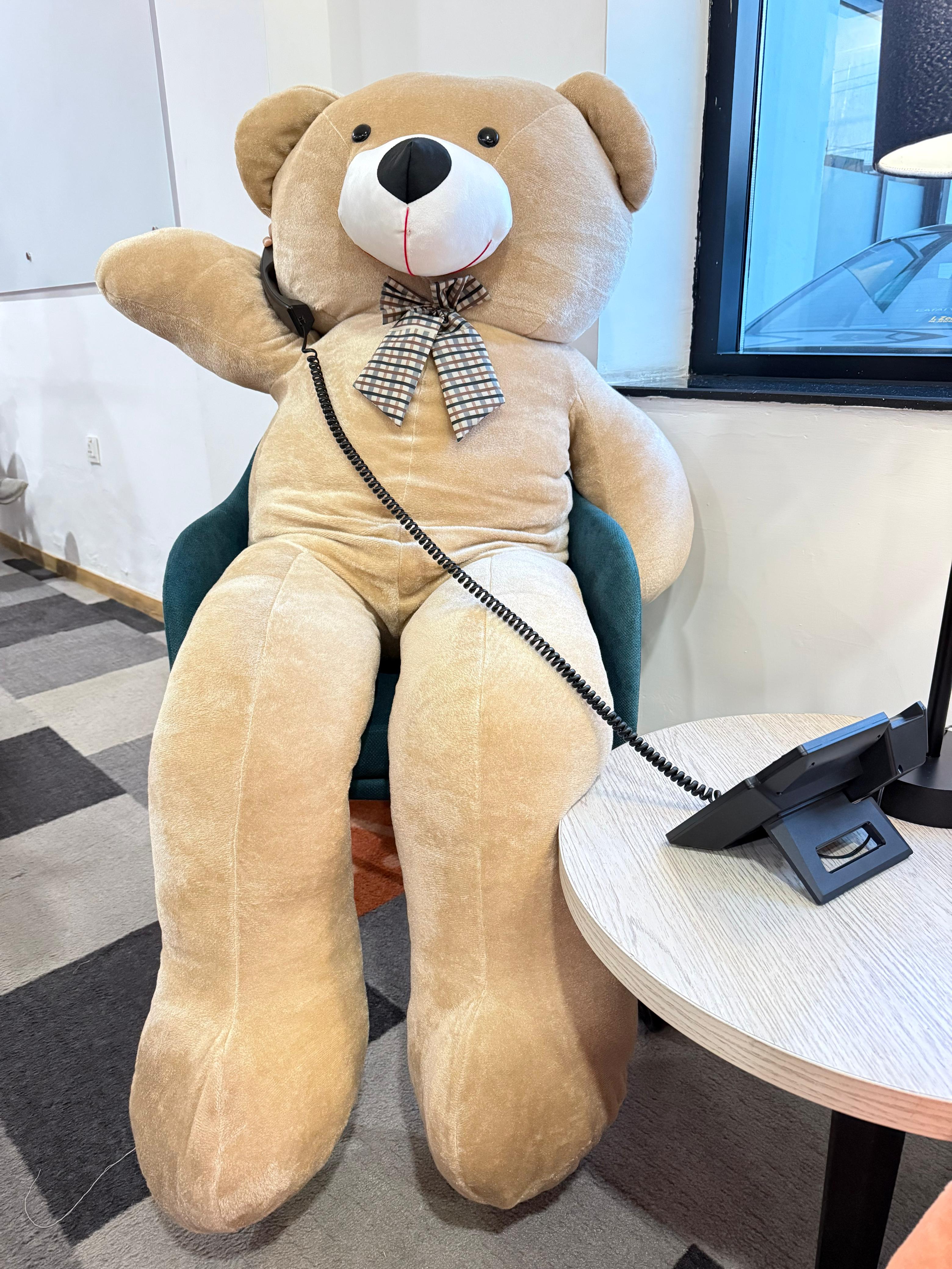 Bruno the Bighearted Bear (5.0 ft)